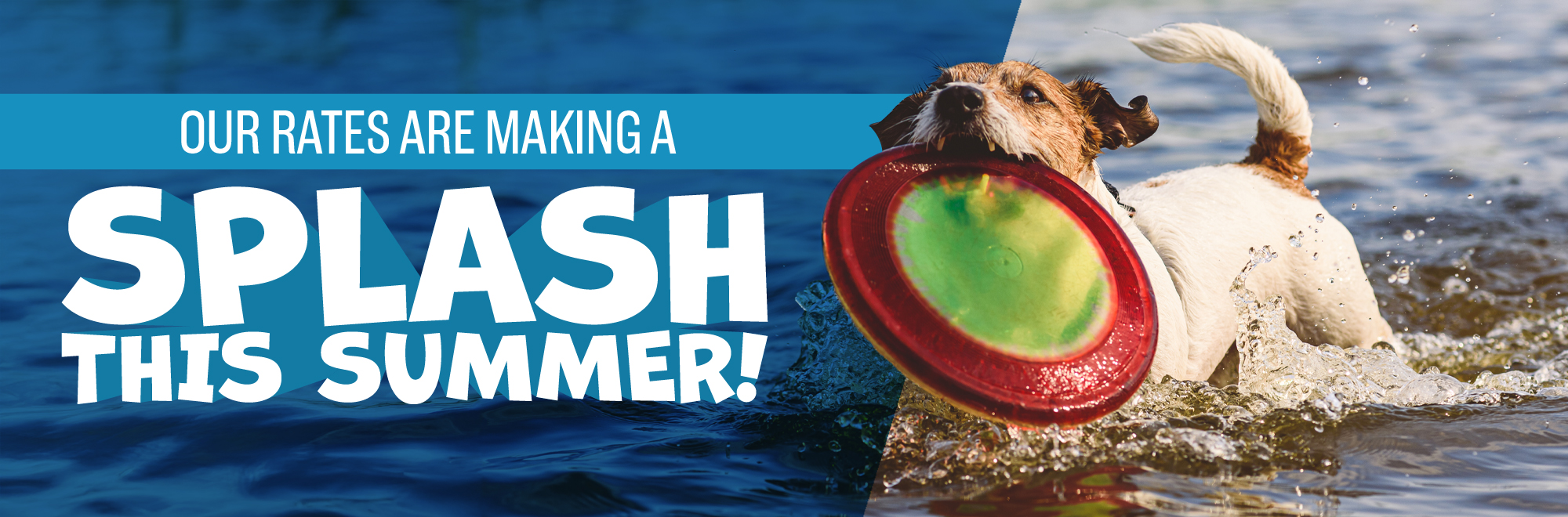 Our rates are making a splash this summer!
