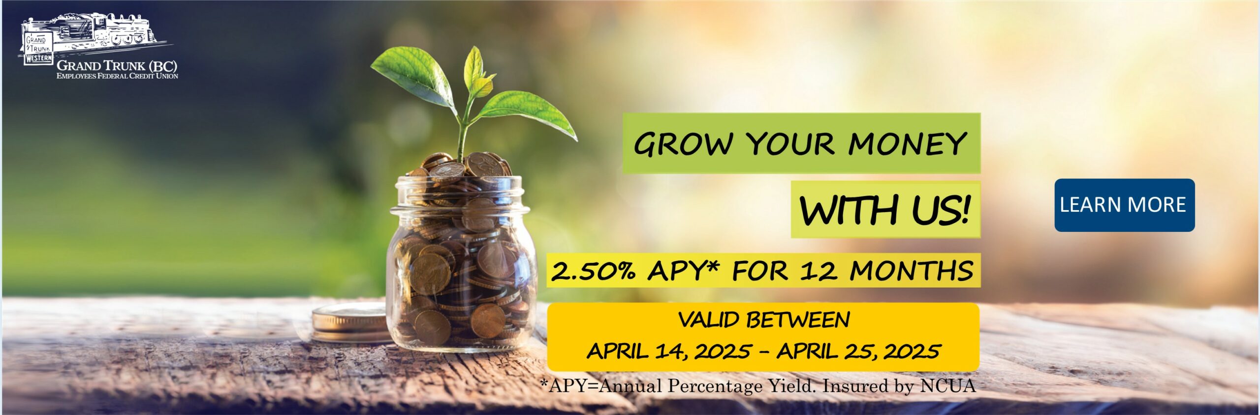 Grow your money with us! 2.50% Annual Percentage Yield for 12 months. Valid between April 14, 2025-April 25, 2025. Insured by NCUA. Learn more. 